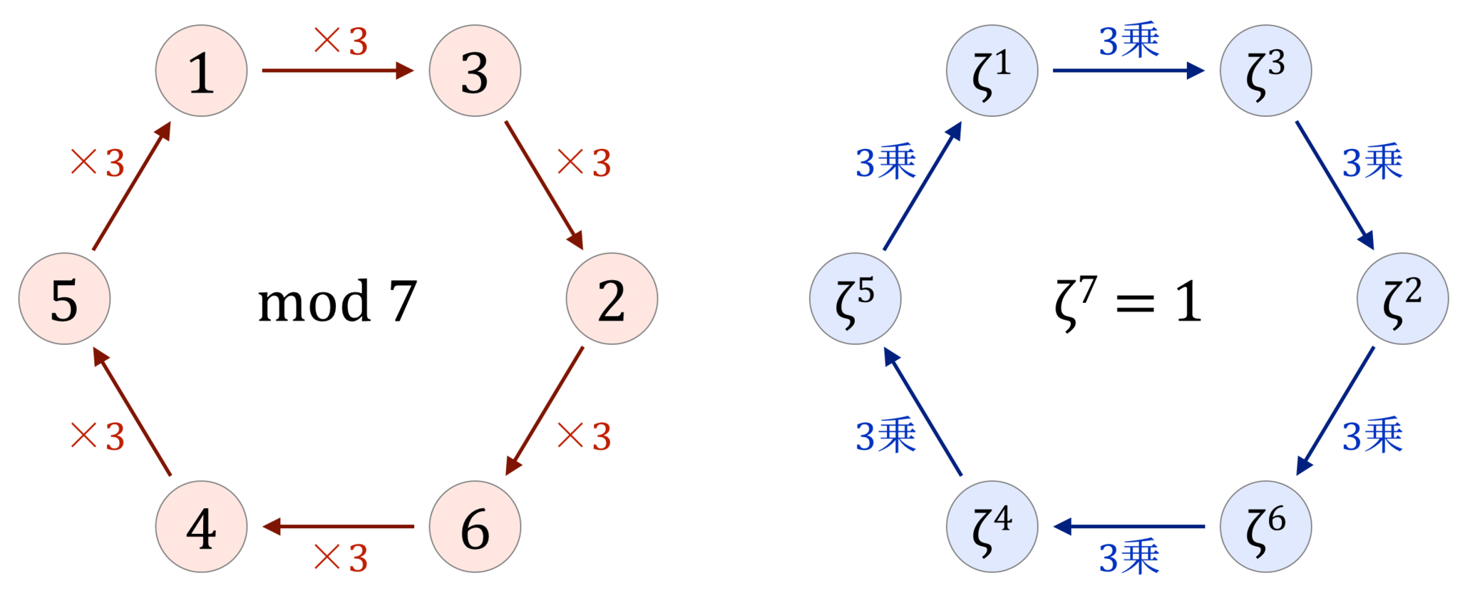 7を法とする数の巡回と1の原始7乗根