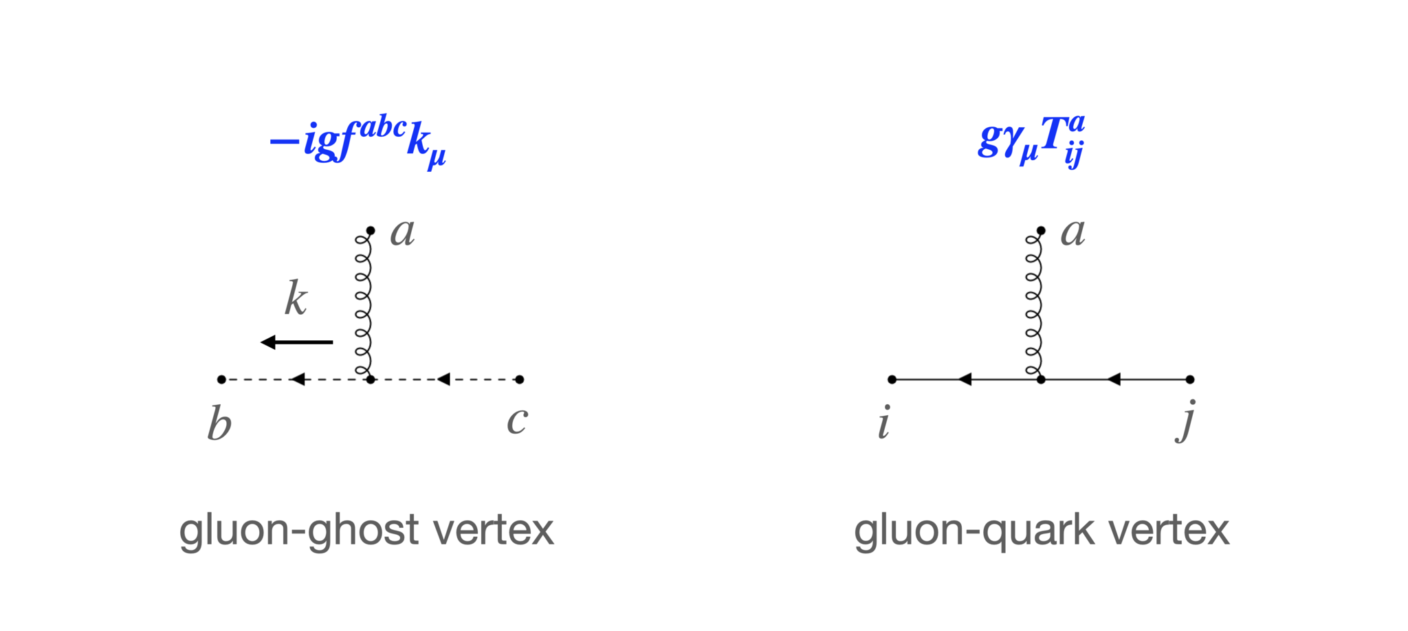 VertexのFeynman則。上図がgluon、下図がghost-gluonおよびquark-gluon vertex。各vertexで運動量保存則を課す