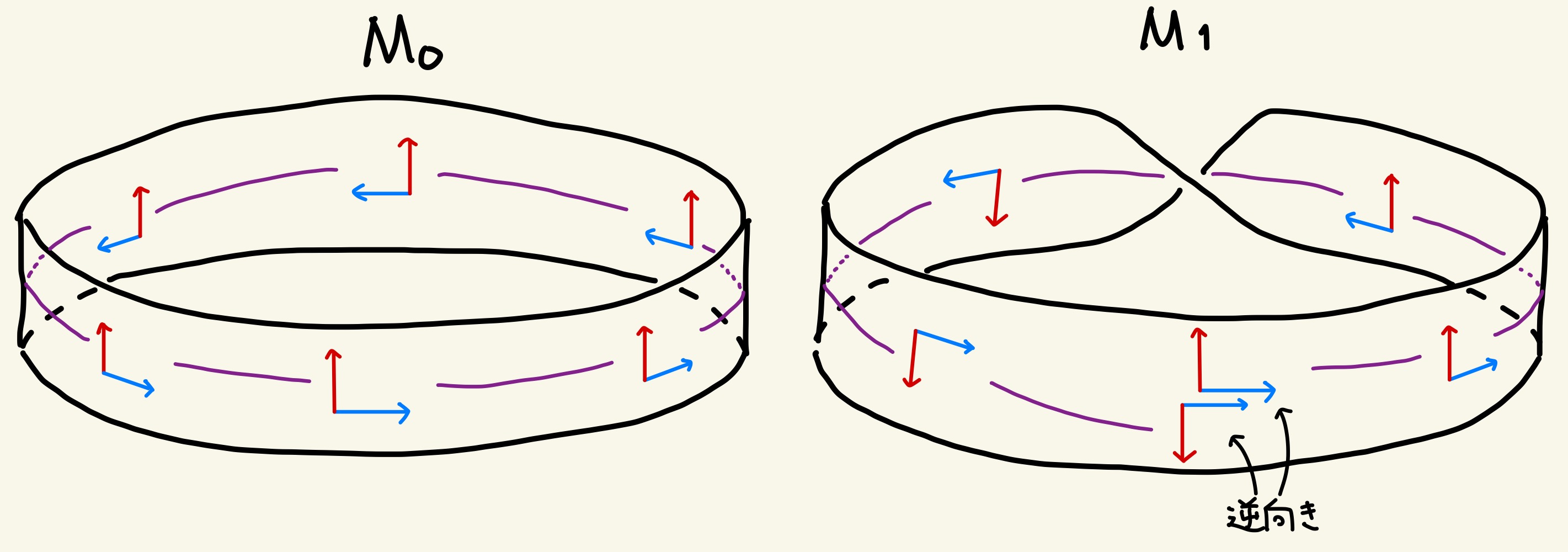 !FORMULA[11][35635404][0]の向き付け可能性