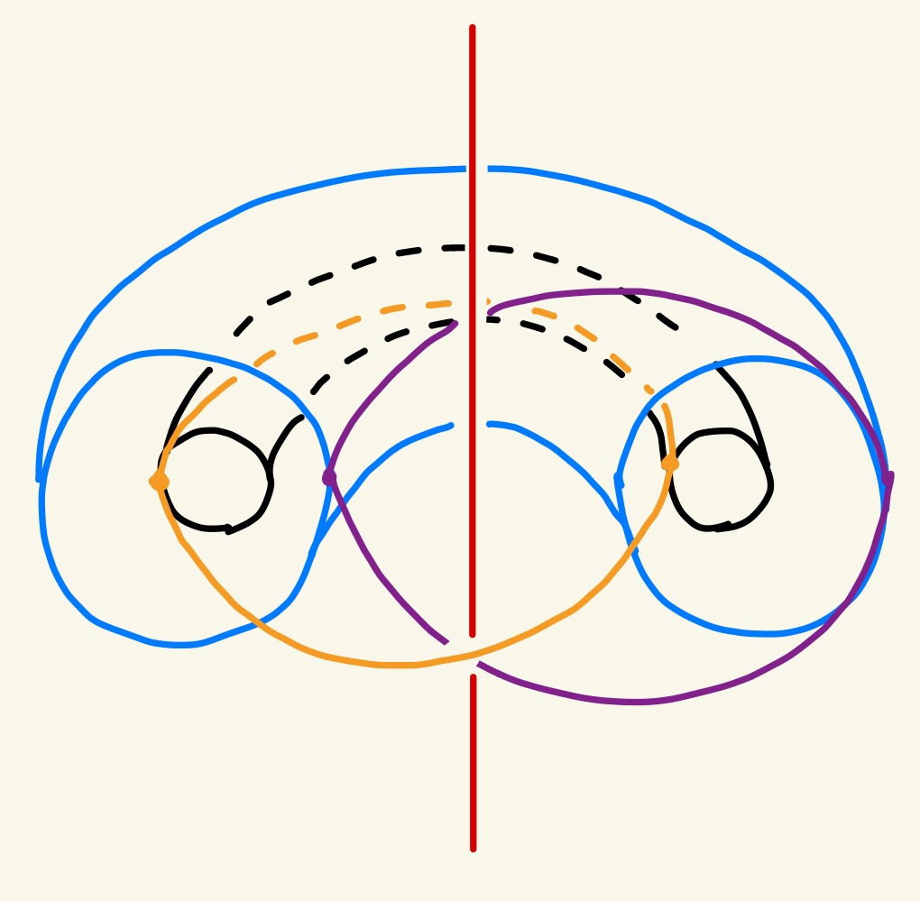 ホップ束のファイバー