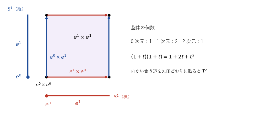 円周の胞体の積としてのトーラスの胞体