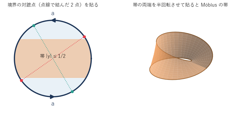 左：閉円板の境界の対蹠点（点線で結んだ 2 点）を同一視すると射影平面になる。境界の上半分と下半分は同じ向きの辺 a として貼られる。橙の帯 |y| ≤ 1/2 は両端が上下を入れ替えて貼られる。右：その帯は Möbius の帯である