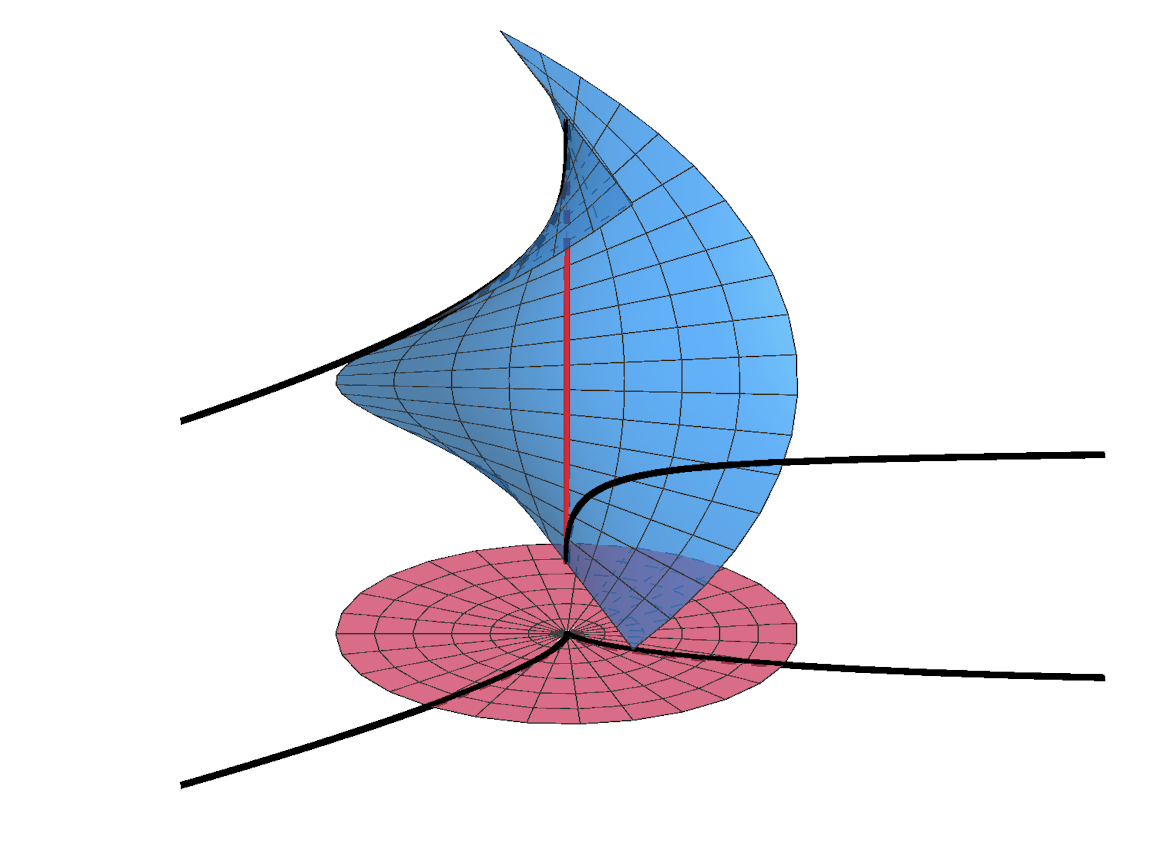 赤い領域のカスプから持ち上げられて放物線できてる
