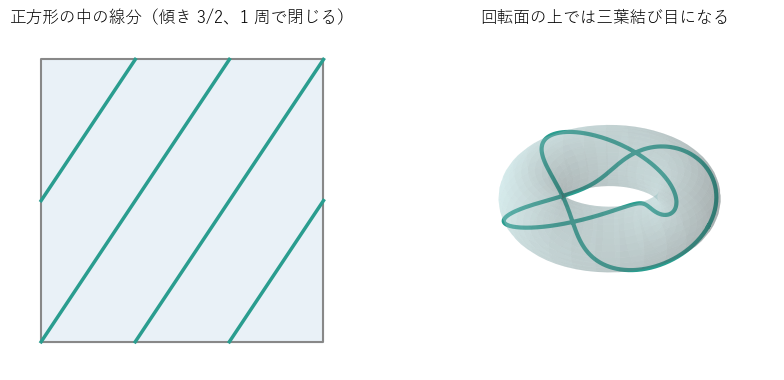 左：正方形の中に描いた道 t ↦ (2t, 3t)。傾き 3/2 の線分 4 本がつながって 1 本の閉じた道になる。右：同じ道を回転面のトーラスの上に描いたもの。空間の中では三葉結び目になっている