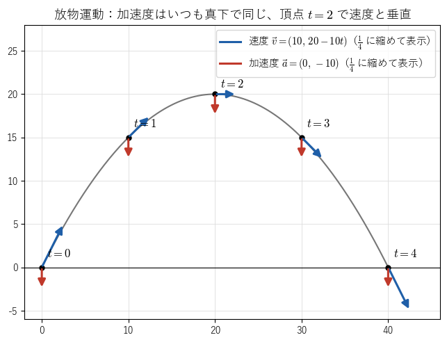 放物運動 !FORMULA[381][1456090920][0] の !FORMULA[382][477410503][0] での速度（青）と加速度（赤）。加速度はいつも真下を向いて同じで、頂点 !FORMULA[383][36762719][0] でだけ速度と垂直になることを見る図。矢印の長さは !FORMULA[384][173307387][0] に縮めて描いている。