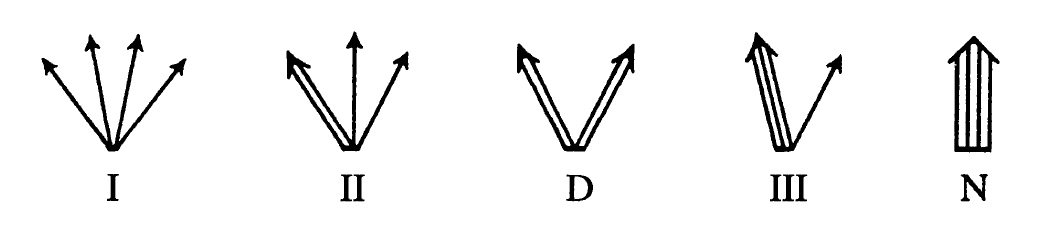 Petrov分類のprincipal null vectorによる表現