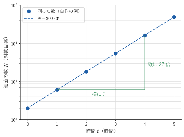 細菌の数を片対数グラフに描くと、6 つの点が一直線に並ぶ。t = 1 から t = 4 まで横に 3 進む間に、縦の目盛では 600 から 16200 へ 27 倍になる