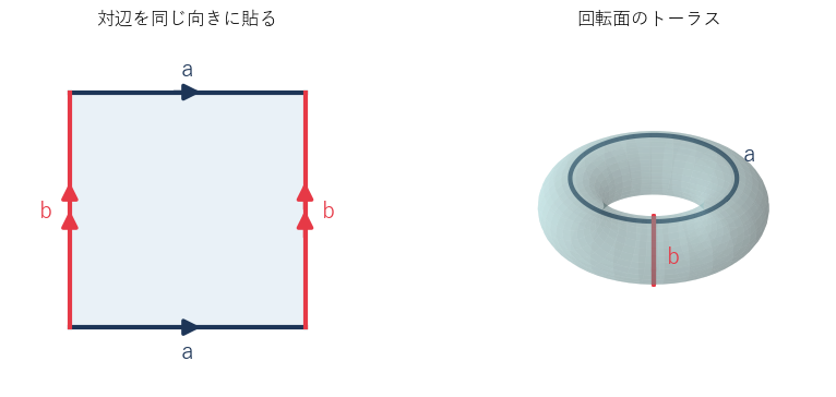 左：正方形の辺 a どうし、辺 b どうしを矢印の向きをそろえて貼る。右：貼った結果の浮き輪の表面。辺 a は大きな円に沿う円周に、辺 b は管を回る円周になる