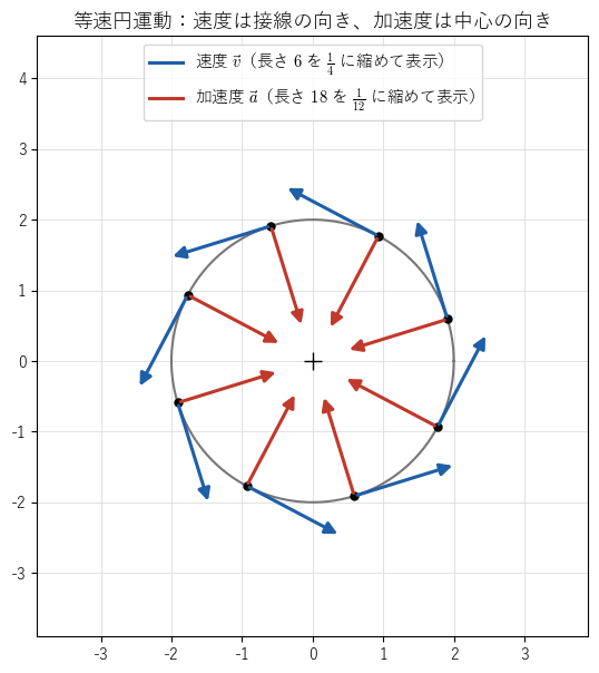 等速円運動 !FORMULA[52][632031728][0] の 8 つの時刻での速度（青）と加速度（赤）。速度は円の接線の向き、加速度は中心の向きを向くことを見る図。矢印の長さは縮めて描いている。