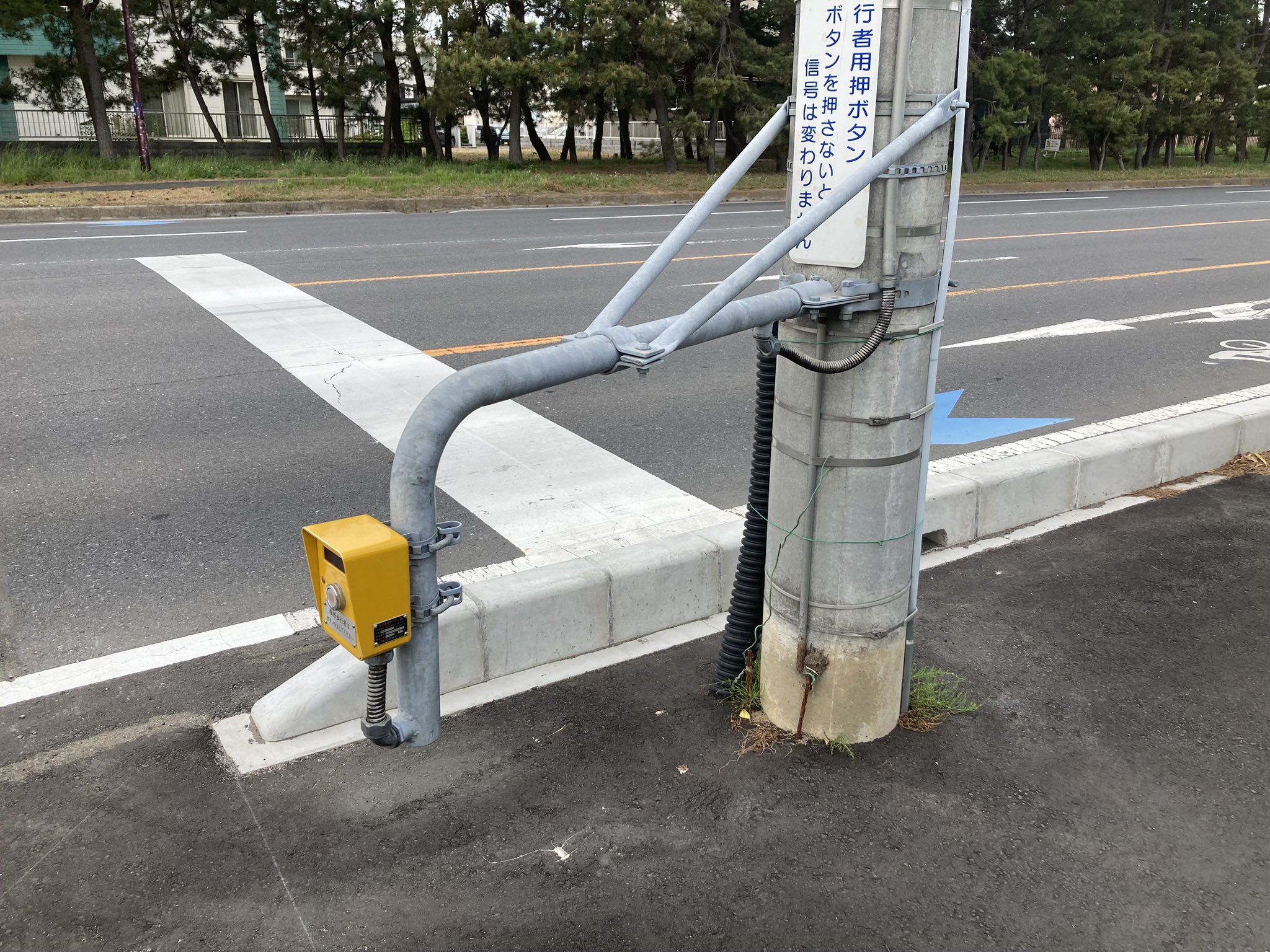 対称性