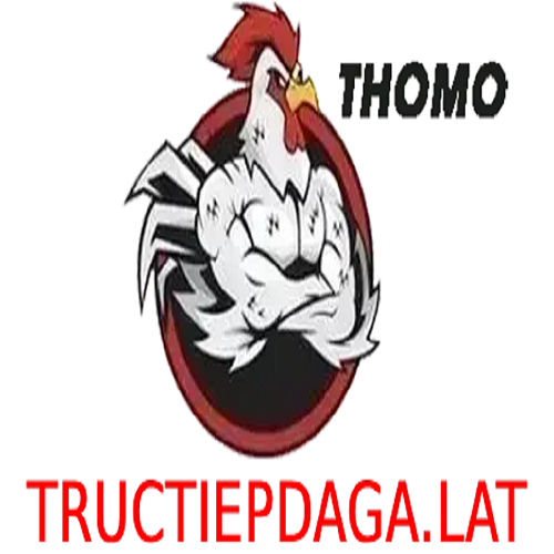 ĐÁ GÀ TRỰC TIẾP