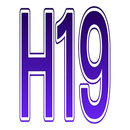 Nhà cái H19
