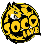 Socolive Immo