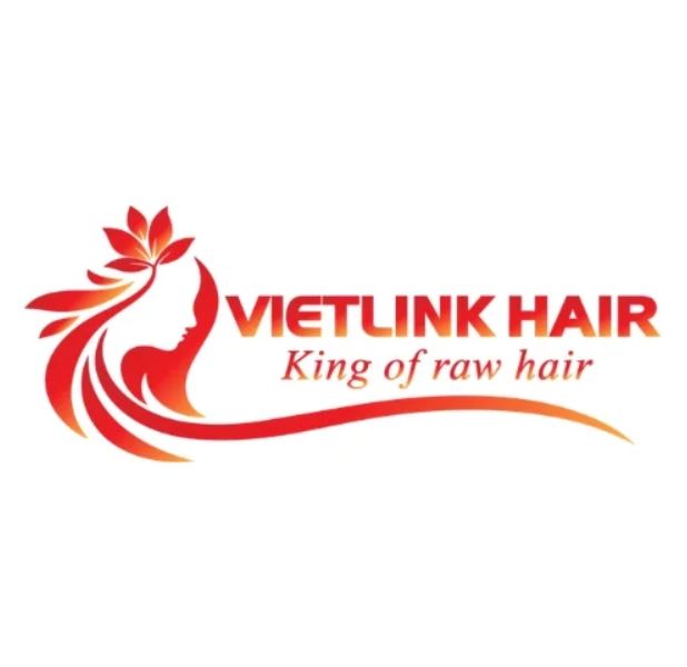 Vietlink Hair