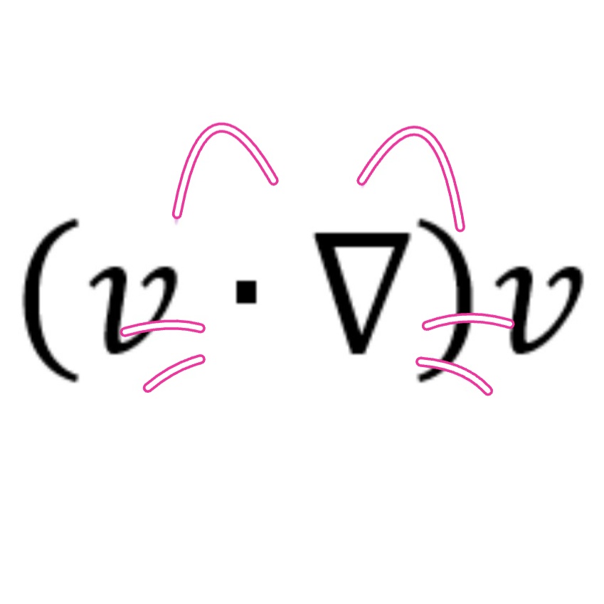 ニャビエス@関数アート