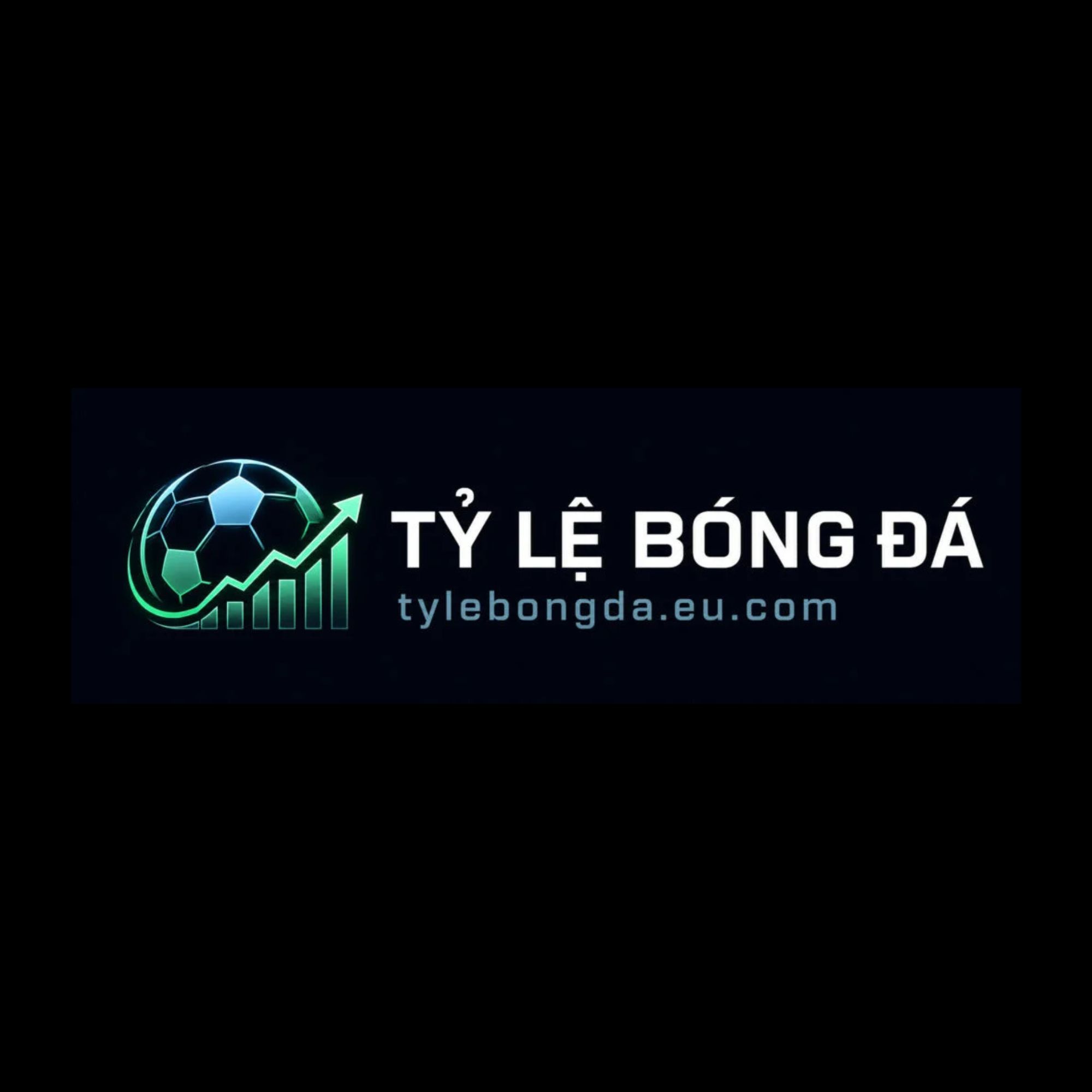 tylebongdaeucom