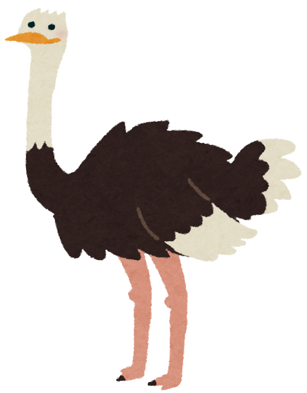 Ostrich Atsushi