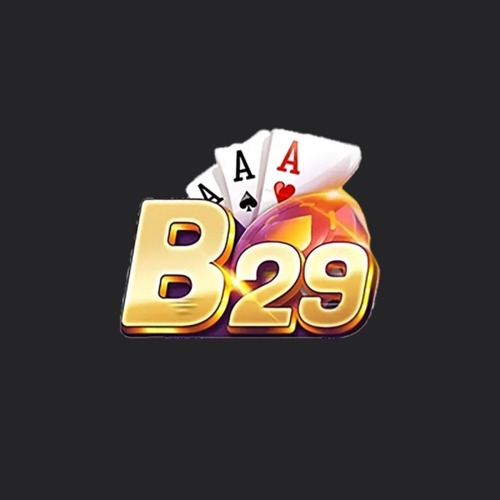 B29 