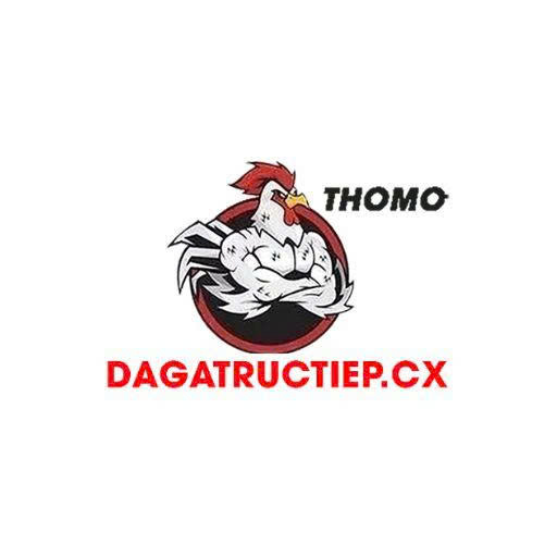 ĐÁ GÀ TRỰC TIẾP CX