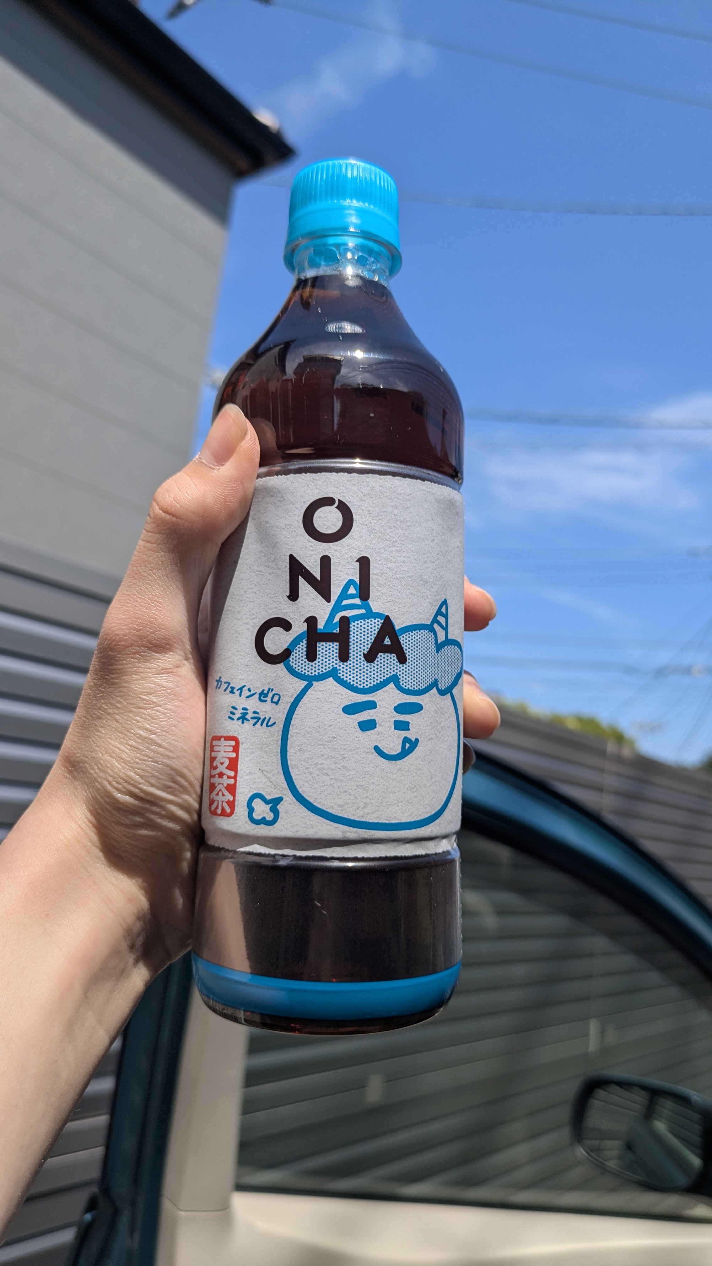 なとり　日記用
