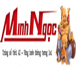 Xosominhngoc 66