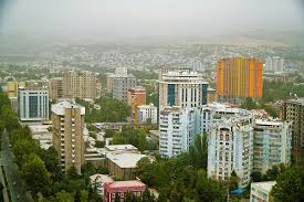 Prestige Evergreen