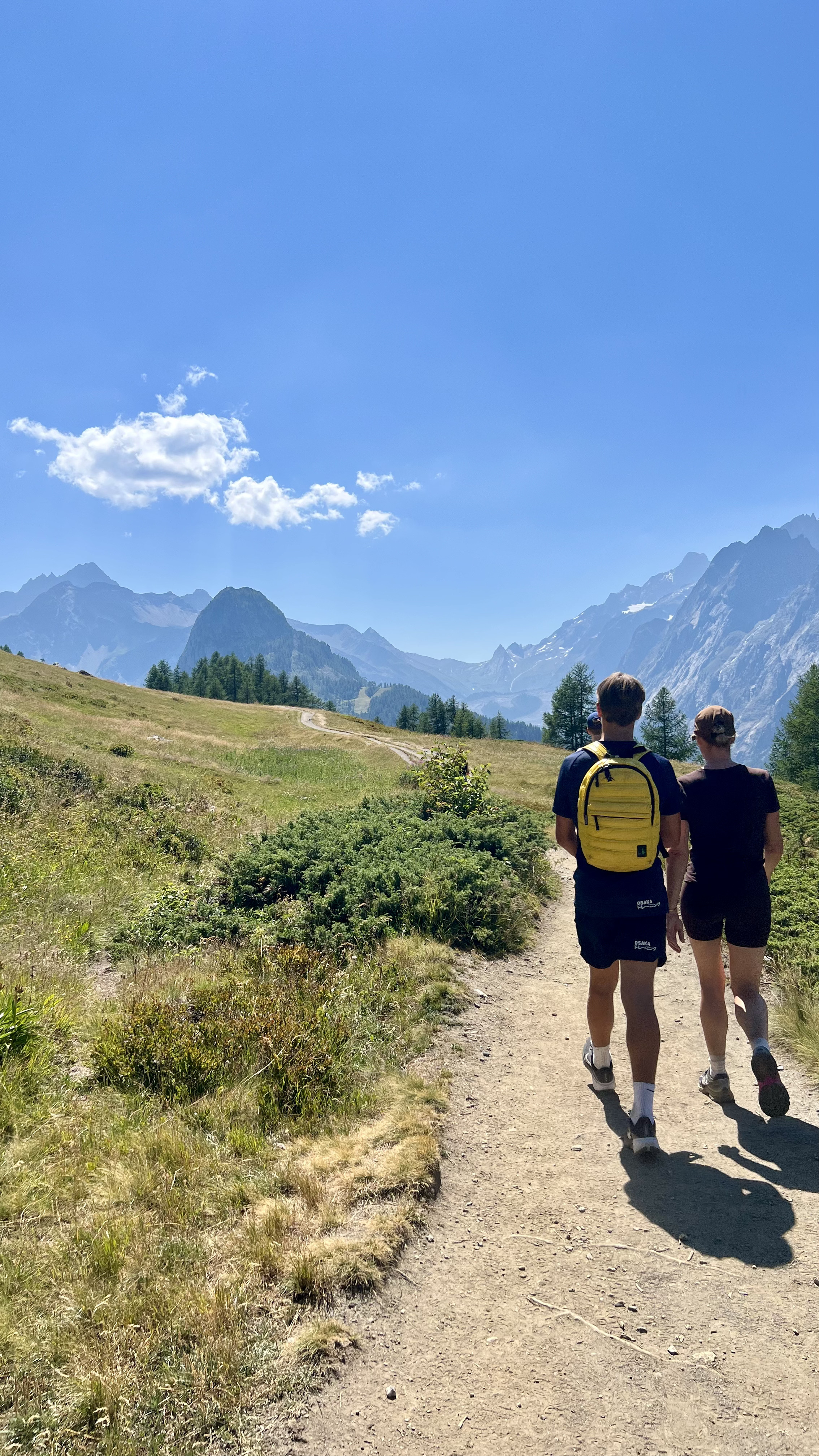 Trekking Balconata Val Ferret 6