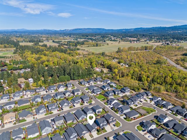 DJI_20240930125926_0229_D 1