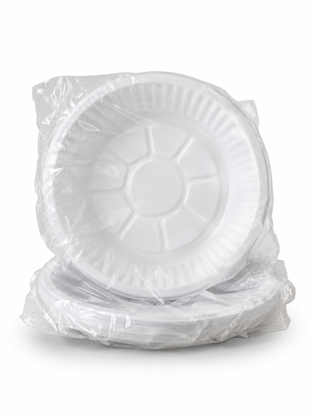 Assiettes jetables – Paquet de 25 pièces