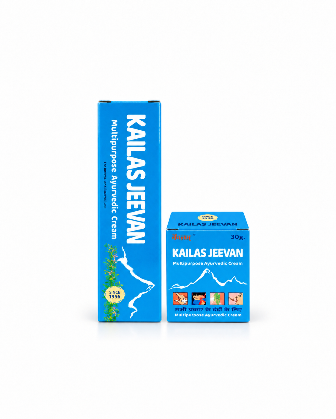 Kailas Jeevan Multipurpose Ayurvedic Cream 30 g