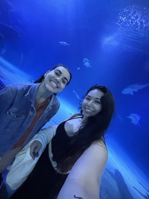 aquarium 2