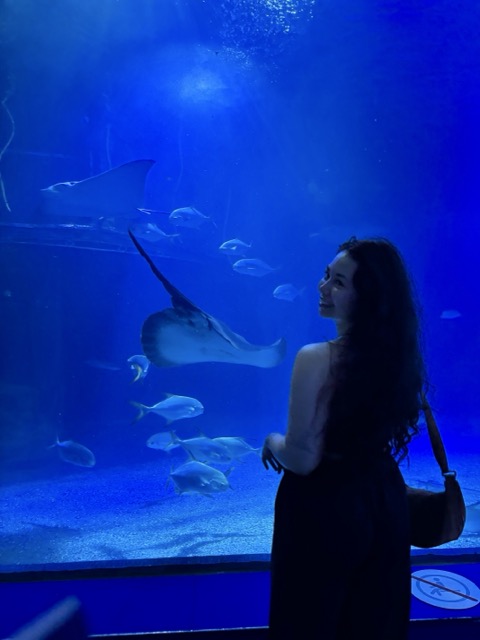 aquarium 1