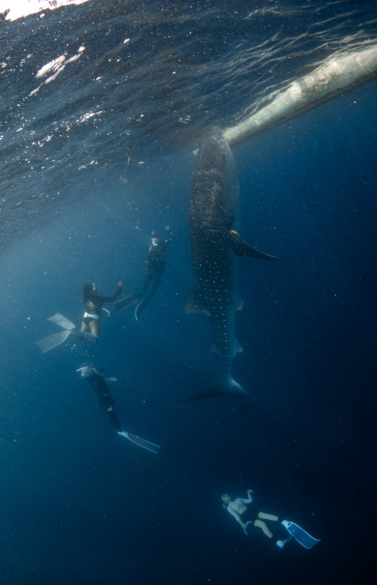 Gorontalo, photo 2