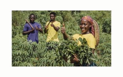 Default image for Agriculture sector projects