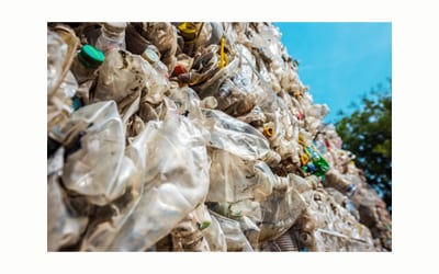 Default image for Environment sector projects