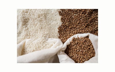 Default image for Social Welfare sector projects