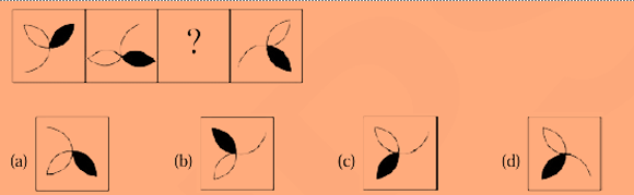 Question Image