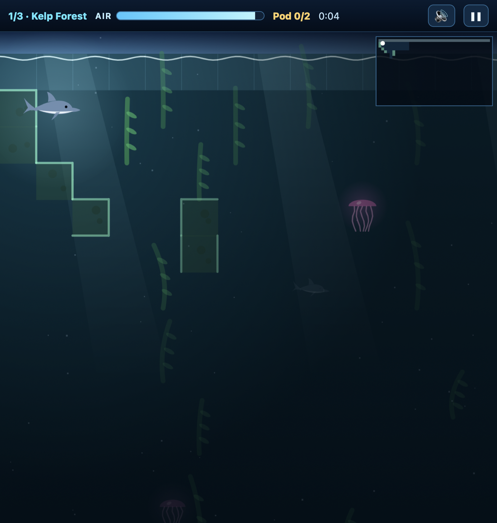 Echo Reef