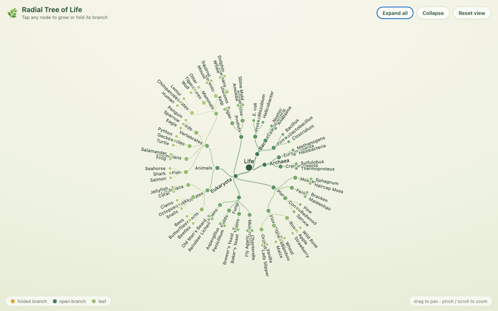 Radial Tree of Life