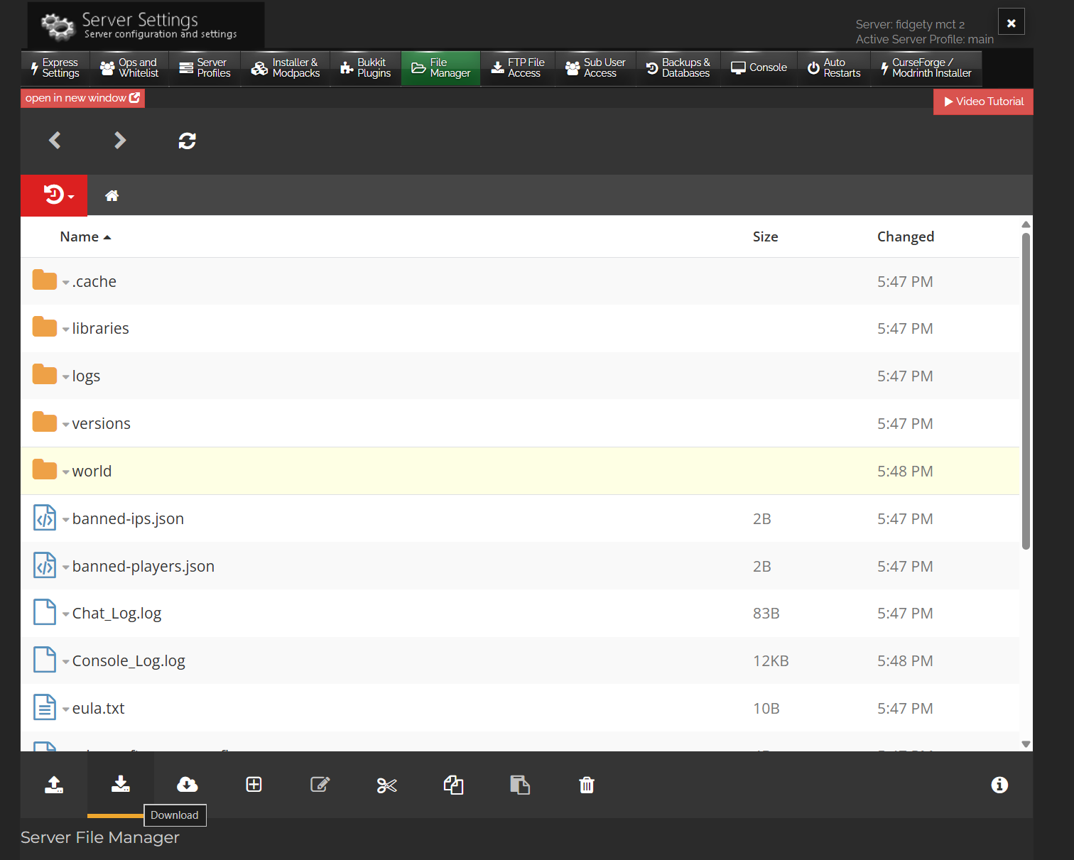 File Manager