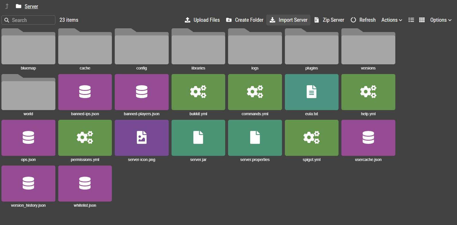 File Manager toolbar with the Import Server