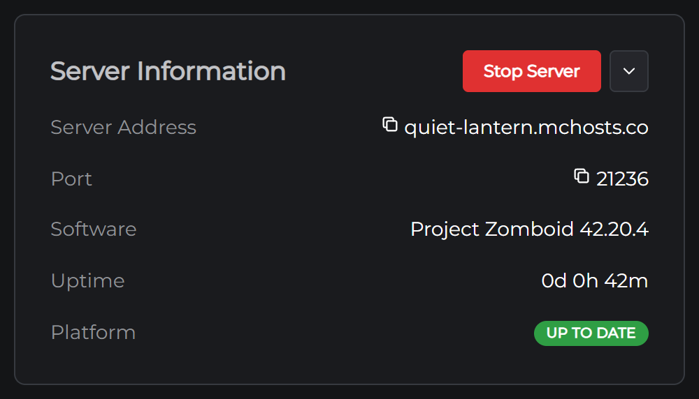 60% server-information.png