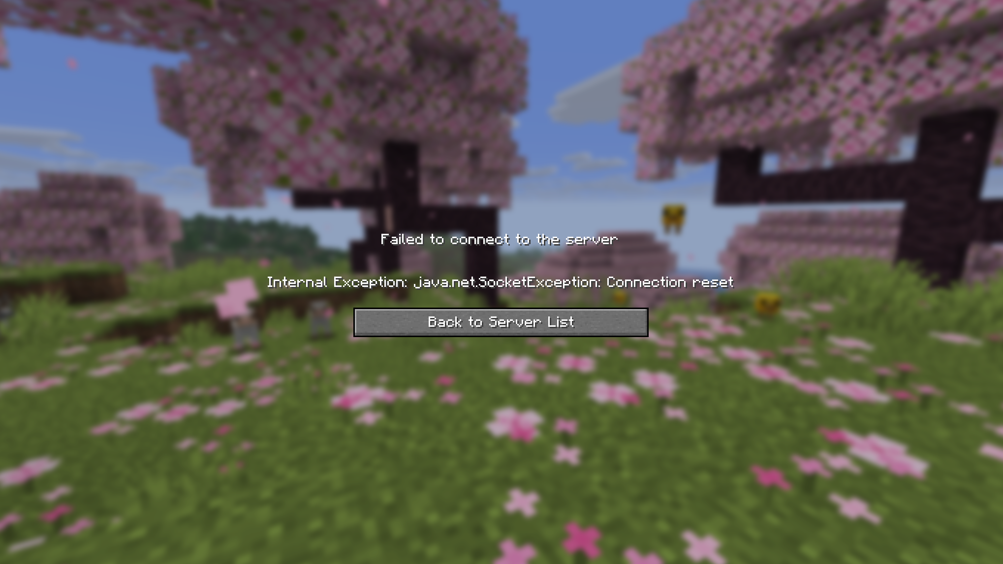 Can't Connect to My Server
