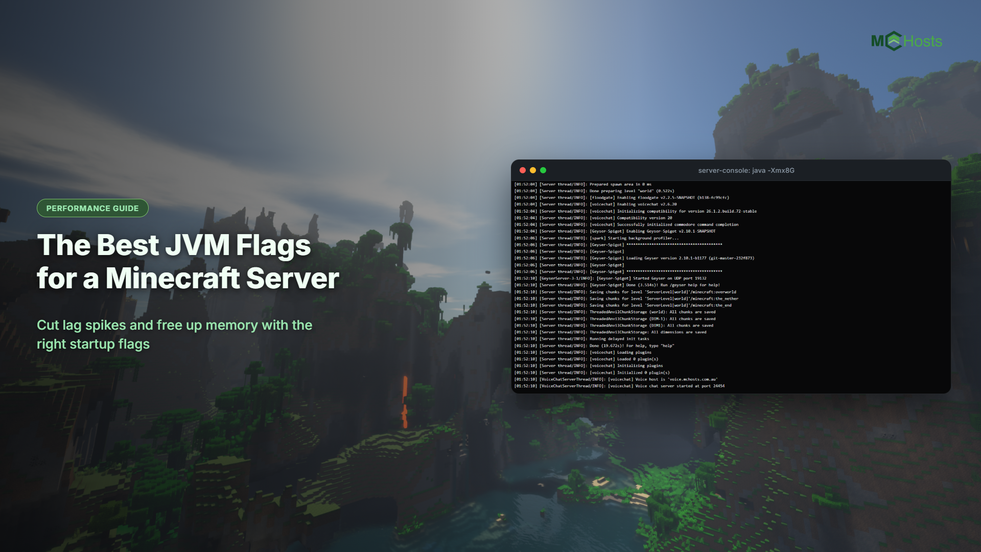 Best JVM Flags for a Minecraft Server