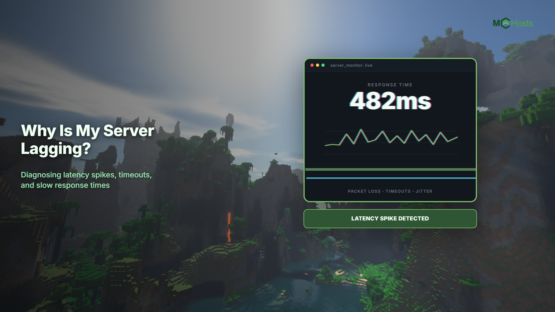 Why Is My Server Lagging?