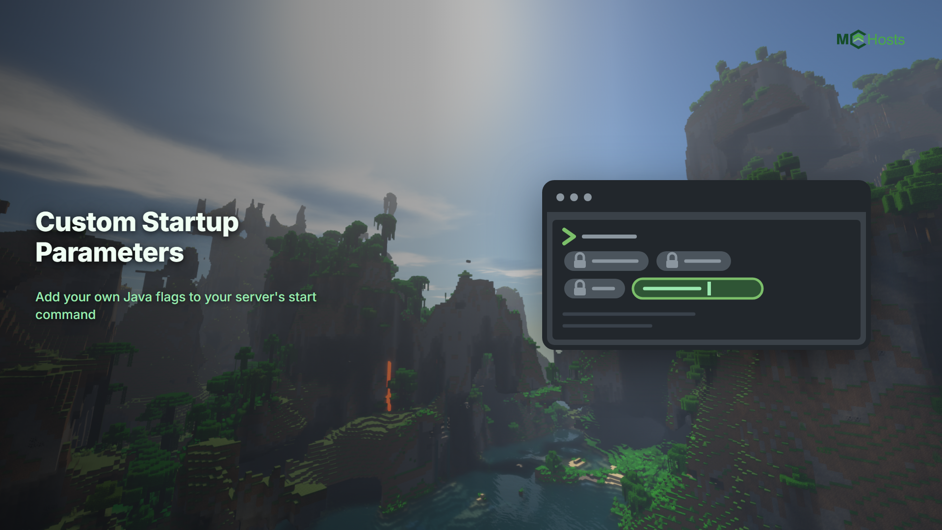 Startup Parameters