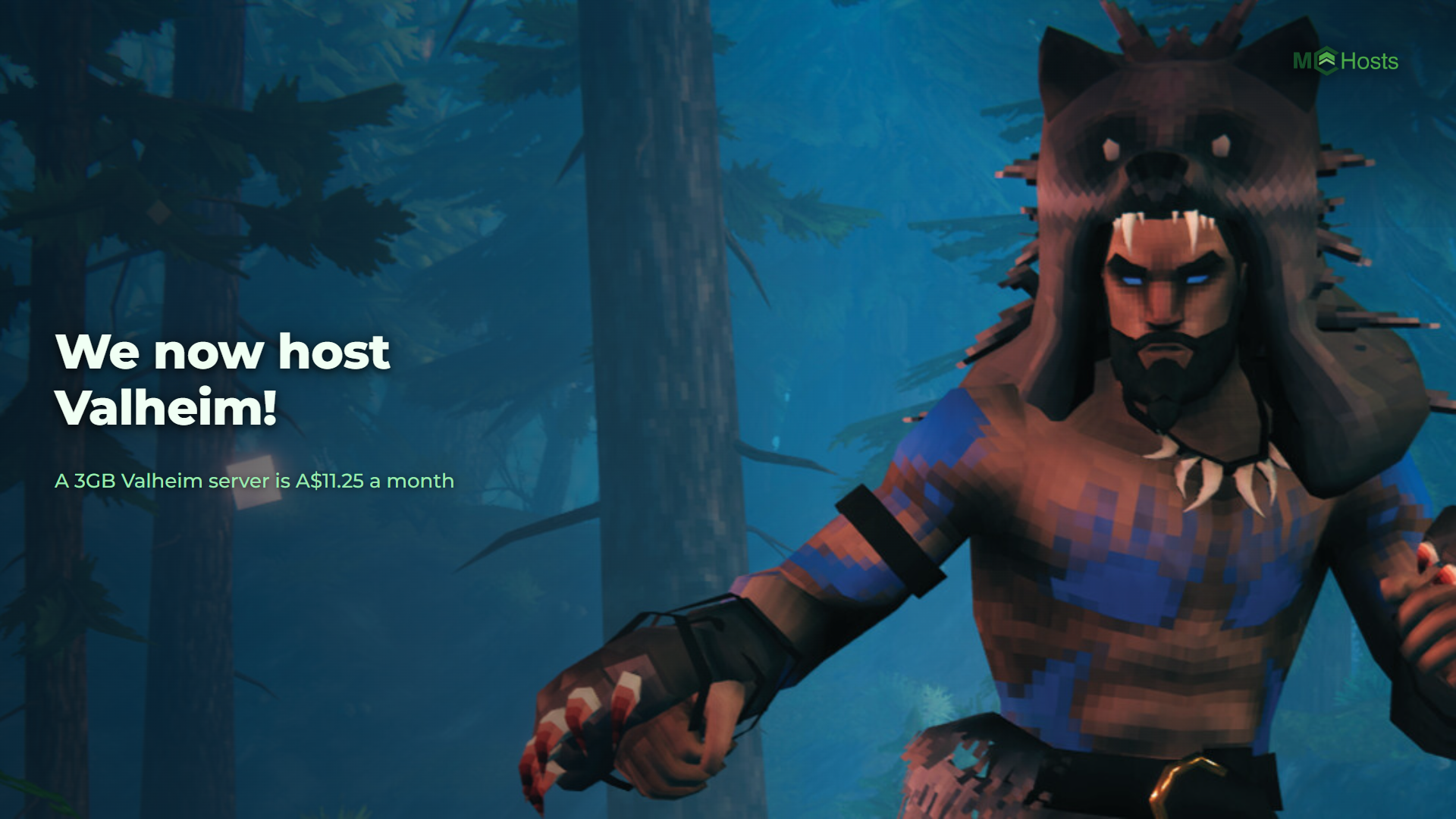 We now host Valheim!