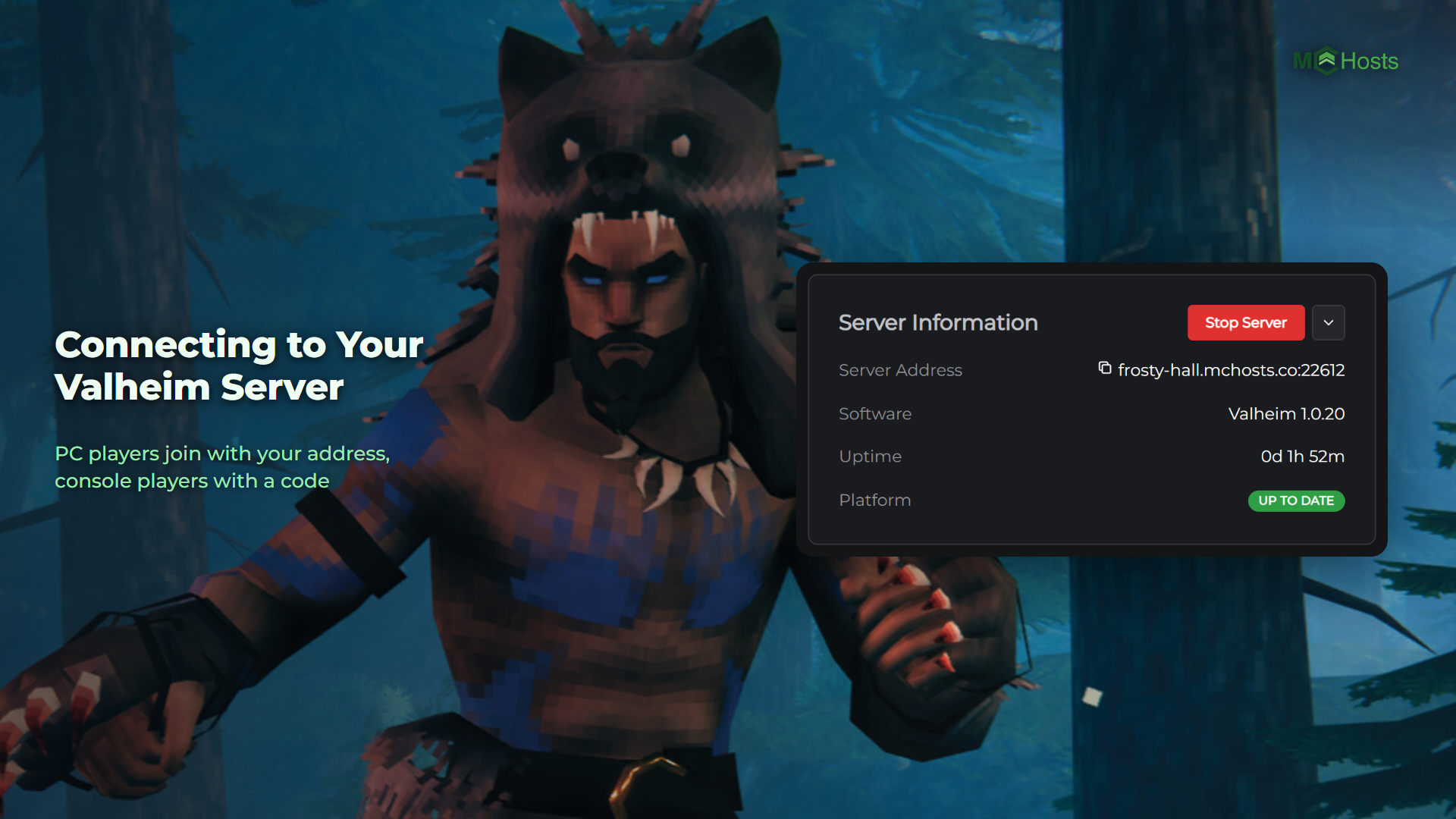 Connecting to Your Valheim Server