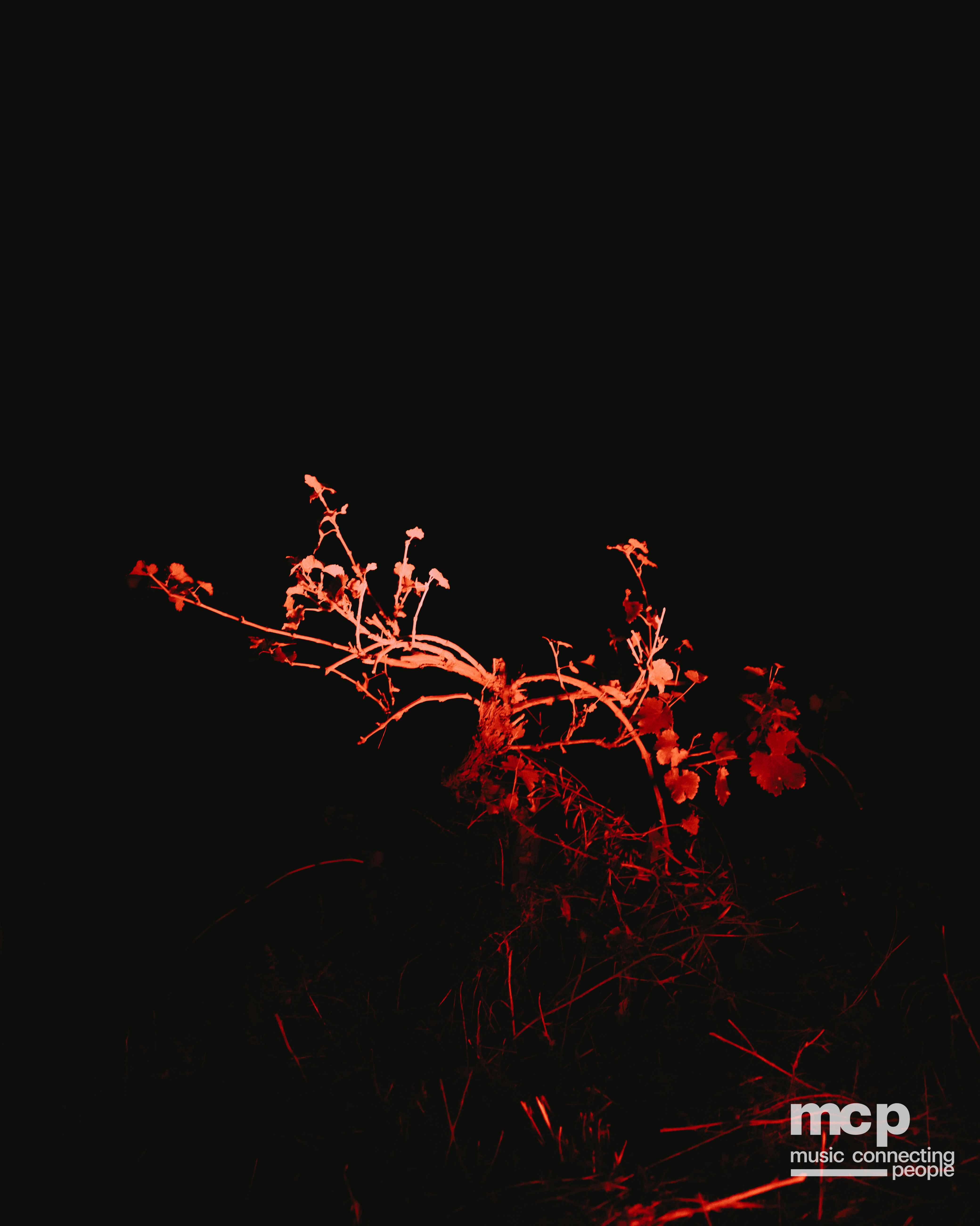 :EP 13. LOST INTO THE WILD & — SUMMER GOODBYES - Photo 16