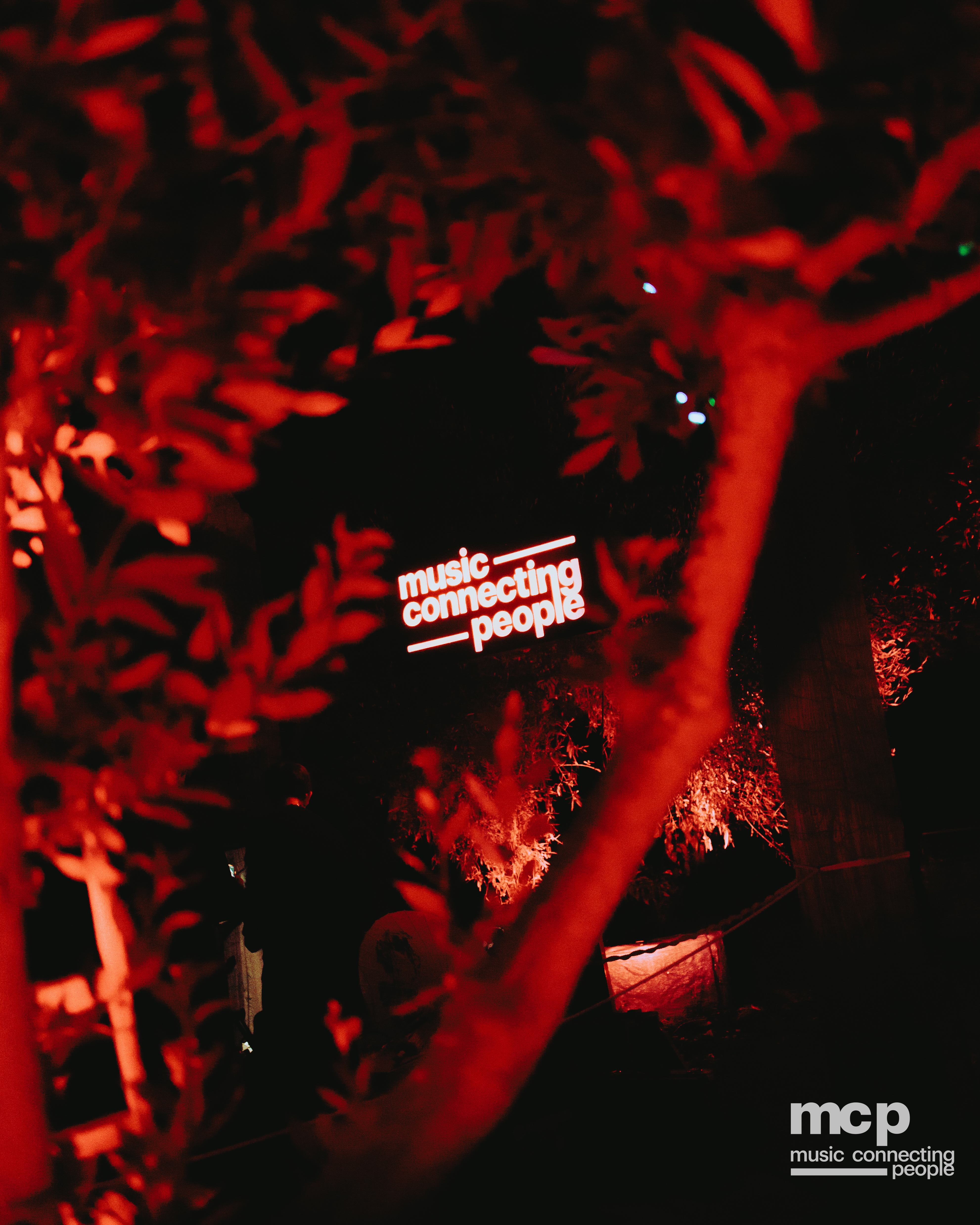 :EP 13. LOST INTO THE WILD & — SUMMER GOODBYES - Photo 42